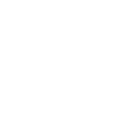 Icon Euro